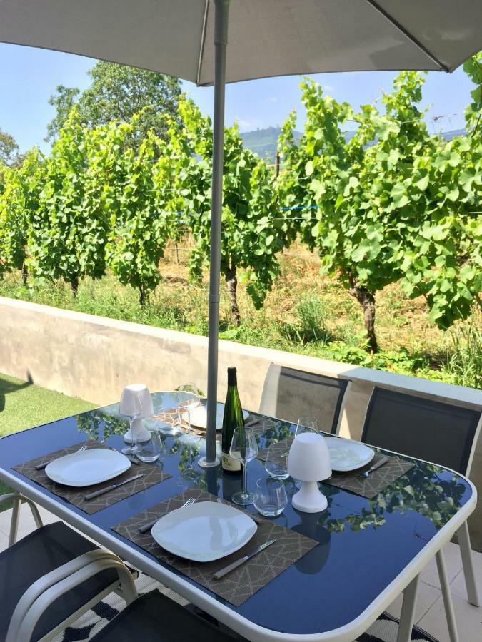 Le Gite De Ninon Et Leon. Eguisheim Luaran gambar